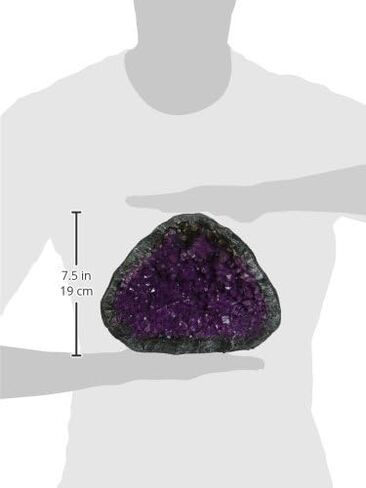 Blue Ribbon EE-1136 Skull Geode Stone Exotic Environments Aquarium Ornament, purple, 6.5 inch (EE-1130) in Saudi Arabia