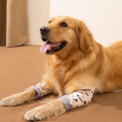 HDKUW Dog Elbow Protector, Dog Front Leg Recovery Sleeve for Prevent Licking Wound, Elbow Sleeves with Mesh Pad for Medium Large Dogs Cherry M in Kuwait