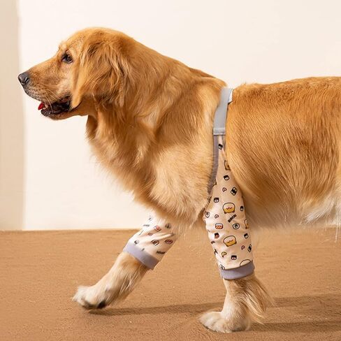 HDKUW Dog Elbow Protector, Dog Front Leg Recovery Sleeve for Prevent Licking Wound, Elbow Sleeves with Mesh Pad for Medium Large Dogs Cherry M in Kuwait