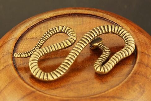 DMtse Chinese Feng Shui Brass Mini Antique Snake Statue Ornaments Meditation Serene Statue Figurine for Animal Sculpture Collectibles in Saudi Arabia