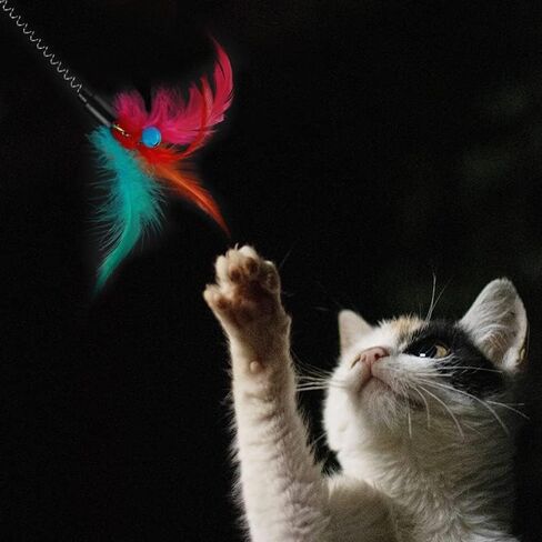 لعبة HANJIANGSHUI 3 في 1 للقطط، لعبة خدش القطط، لعبة كرة القطط، مسار دوار مع كرة، لعبة القطط، تدريب ذكاء القطط (حزمة واحدة مع ماوس واحد، عصا إغاظة القطط و2 لعبة لعب زنبركية (أخضر) in Kuwait