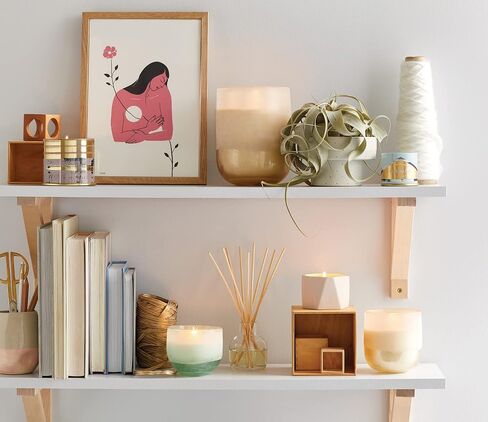 Illume Coconut Milk Mango Reed Diffuser, Blush in Kuwait