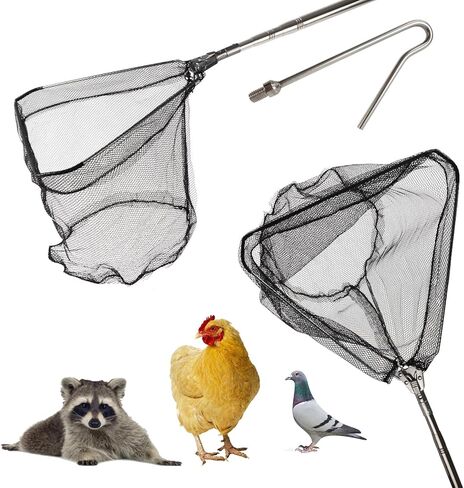 سماركي شبكة صيد الدجاج، عمود خطاف قابل للسحب لامساك الدجاج، ادوات مزرعة الدواجن للديك الرومي والبط والطيور والطيور والاسماك والحيوانات الصغيرة in Kuwait