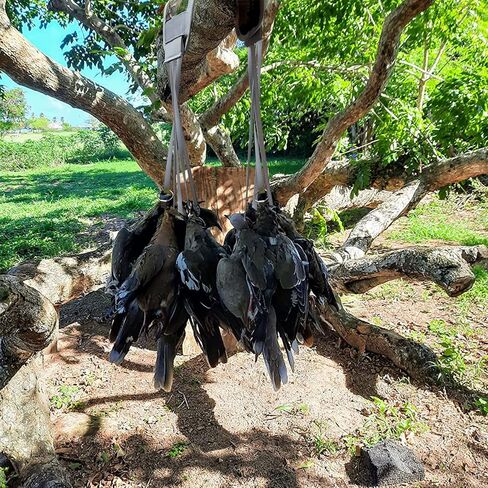 حزام صيد الطيور والبط والحمامة من ZLEYECZ، حلقة منزلقة للأسفل تحمل طيور مائية على شكل رقبة عائمة 12 حزامًا. in Kuwait