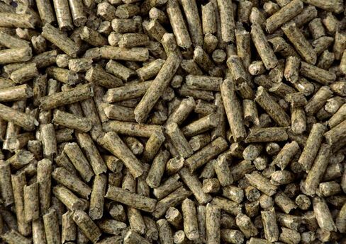 Bio Litter, Natural Wood & Hay Pellets, 6.6lb in Saudi Arabia