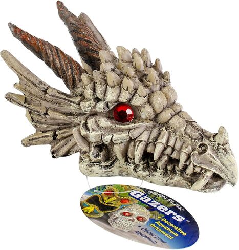 ديكور حوض السمك Penn-Plax Deco-Replicas Dragon Skull Gazer - آمن لخزانات أسماك المياه العذبة والمياه المالحة - صغير in Saudi Arabia