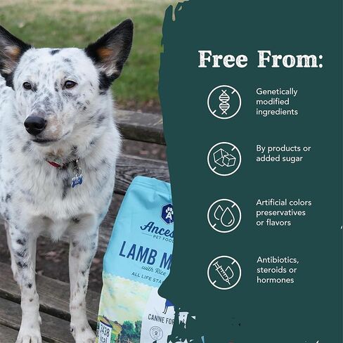 Ancestry Dog Food, Duck Meal & Potato Recipe, Crude Protein, Fiber & Fat, For All Life Stages, Dry Dog Food, Prevent Food Allergies, Improve Gut Health, Grain Free, Immune Support (4 lb. Bag) in Saudi Arabia