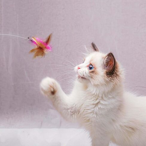Cat Feather Toy, Cat Collar Toy with Feathers and Bell, cat Wand Toys for Indoor Cats to Grip Multipurpose Relief Pressure Playing Interactive in Saudi Arabia