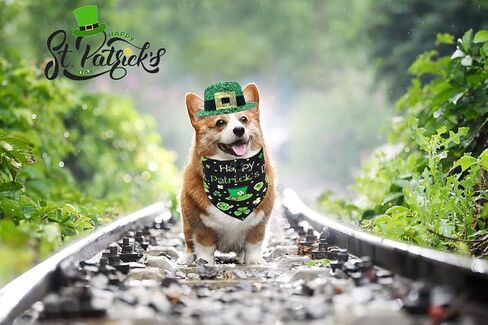 Vehomy 4Pcs Dog Saint Patricks Day Hat Bandana Accessories Green Paillette Dog Hat with Shamrock Decor Reversible Pet St. Patrick's Day Bandana Triangle Scarf with Clover Pattern for Dog Cat in Saudi Arabia