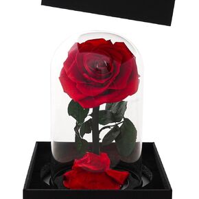 وردة حقيقية محفوظة في قبة زجاجية من فاري فلورال هدية لعيد الام وعيد الشكر والكريسماس وعيد الحب واعياد الميلاد (احمر) in Kuwait