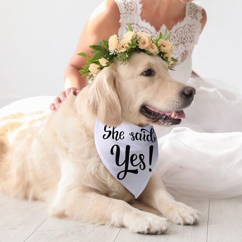 200 Pack Dog Bandana in Bulk White Sublimation Pet Bandanas Blank Triangle Dog Heat Transfer Scarf Solid Adjustable Dog Bibs DIY Polyester Dog Kerchief Apparel for Small Medium Large Puppies Pets in Kuwait