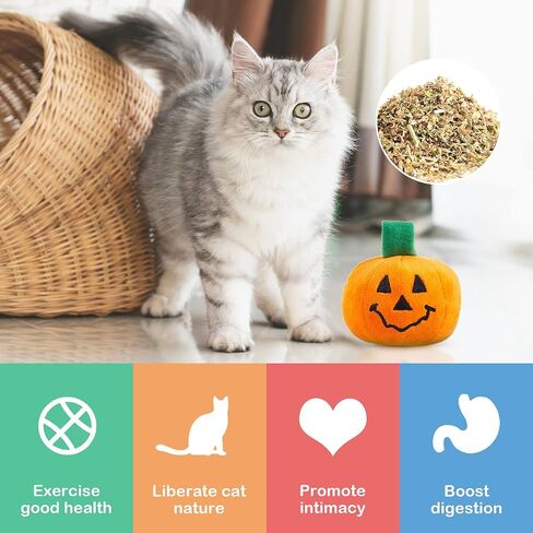 Frienda 2 Pieces Thanksgiving Day Cat Toy Pumpkin Catnip Toy Pet Plush Toy Interactive Cat Toy for Cat Kitten Pet to Play in Saudi Arabia