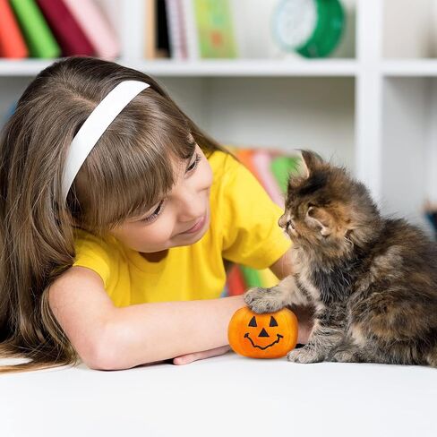 Frienda 2 Pieces Thanksgiving Day Cat Toy Pumpkin Catnip Toy Pet Plush Toy Interactive Cat Toy for Cat Kitten Pet to Play in Saudi Arabia