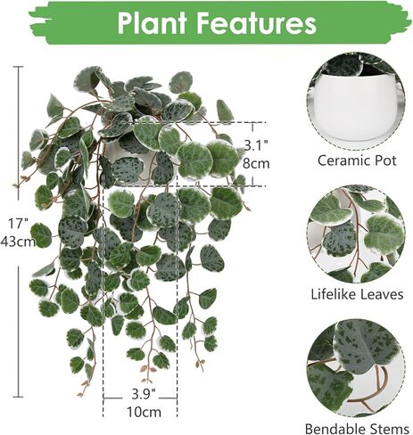 Briful Fake Plants 16'' Artificial String of Hearts Plants with Ceramic Pot Faux Draping Ceropegia Woodii Succulent Plants for Home Bedroom Table Shelf Office Hotel Decor in Kuwait