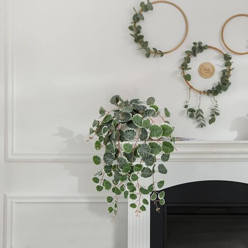 Briful Fake Plants 16'' Artificial String of Hearts Plants with Ceramic Pot Faux Draping Ceropegia Woodii Succulent Plants for Home Bedroom Table Shelf Office Hotel Decor in Kuwait