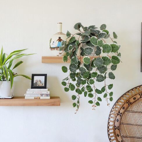 Briful Fake Plants 16'' Artificial String of Hearts Plants with Ceramic Pot Faux Draping Ceropegia Woodii Succulent Plants for Home Bedroom Table Shelf Office Hotel Decor in Kuwait