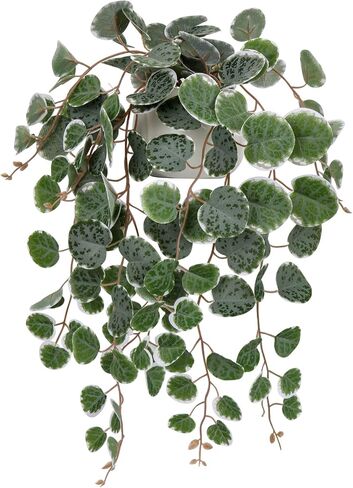 Briful Fake Plants 16'' Artificial String of Hearts Plants with Ceramic Pot Faux Draping Ceropegia Woodii Succulent Plants for Home Bedroom Table Shelf Office Hotel Decor in Kuwait