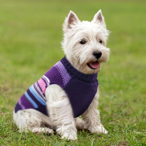XGDMEIL كلب صغير سترة لطيف القلب كلب ملابس ملابس للكلاب الصغيرة المتوسطة القطط الخريف الشتاء الياقة المدورة جرو تريكو البلوز الكلب البلوز (XS) in Kuwait