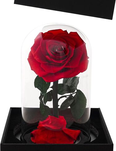 وردة حقيقية محفوظة في قبة زجاجية من فاري فلورال هدية لعيد الام وعيد الشكر والكريسماس وعيد الحب واعياد الميلاد (احمر) in Kuwait