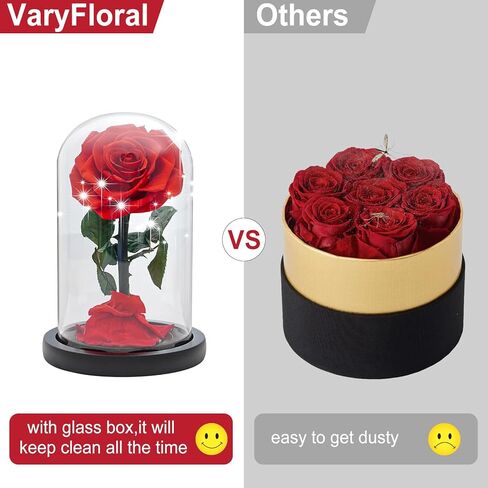 وردة حقيقية محفوظة في قبة زجاجية من فاري فلورال هدية لعيد الام وعيد الشكر والكريسماس وعيد الحب واعياد الميلاد (احمر) in Kuwait