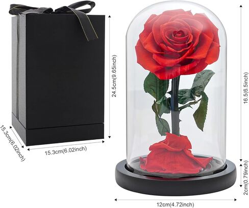 وردة حقيقية محفوظة في قبة زجاجية من فاري فلورال هدية لعيد الام وعيد الشكر والكريسماس وعيد الحب واعياد الميلاد (احمر) in Kuwait