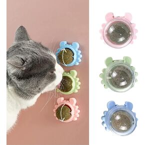 NOIBARA Catnip Wall Ball Toys Edible Toys for Cats Lick with Natural Healthy Catnip Cat Teeth Cleaning Dental Toy in Saudi Arabia