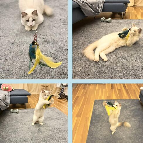 JOCYI Cat Feather Toys-2PCS Retractable Cat Wand Toy 33Inch-10PCS Feathers Teaser Replacements with Bell,Spring and 27 inchs nylon thread Connection Feather,Easier to simulate the cat's preferred prey in Saudi Arabia