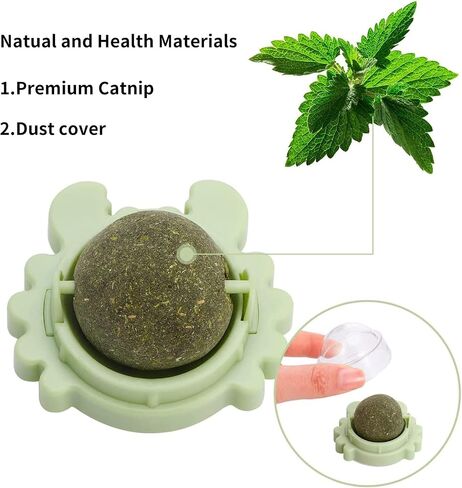 NOIBARA النعناع البري جدار العاب كروية ألعاب صالحة للأكل للقطط لعق مع النعناع البري الصحي الطبيعي القط تنظيف الأسنان لعبة طب الأسنان in Saudi Arabia