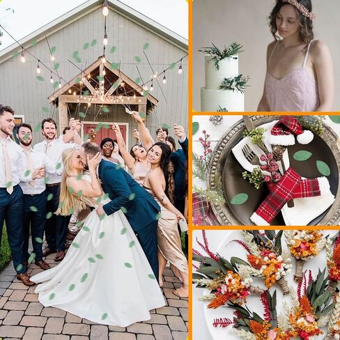 3500+ أوراق الأوكالبتوس الحقيقية الصغيرة المحفوظة - 100٪ كتلة الأوكالبتوس المجففة الطبيعية، أوراق الزفاف الطازجة القابلة للتحلل الحيوي للاحتفالات السنوية، قصاصات الورق، بتلات فتاة الزهور، حمامات الزفاف، ديكور الحفلات in Kuwait