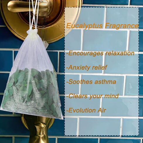 3500+ أوراق الأوكالبتوس الحقيقية الصغيرة المحفوظة - 100٪ كتلة الأوكالبتوس المجففة الطبيعية، أوراق الزفاف الطازجة القابلة للتحلل الحيوي للاحتفالات السنوية، قصاصات الورق، بتلات فتاة الزهور، حمامات الزفاف، ديكور الحفلات in Kuwait