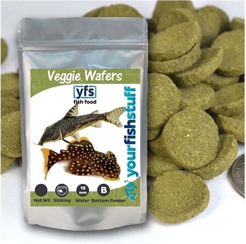 Spirulina Veggie Algae Wafers Pleco Catfish Tropical Bulk Fish Food ONE LB - Bottom Feeders in Saudi Arabia