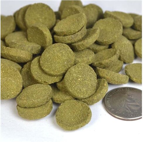 Spirulina Veggie Algae Wafers Pleco Catfish Tropical Bulk Fish Food ONE LB - Bottom Feeders in Saudi Arabia