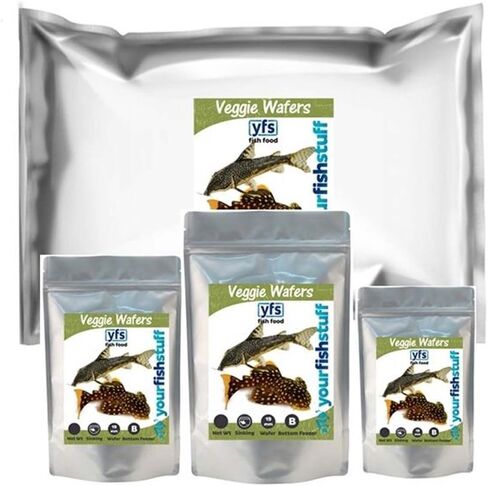 Spirulina Veggie Algae Wafers Pleco Catfish Tropical Bulk Fish Food ONE LB - Bottom Feeders in Saudi Arabia