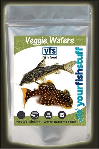 Spirulina Veggie Algae Wafers Pleco Catfish Tropical Bulk Fish Food ONE LB - Bottom Feeders in Saudi Arabia