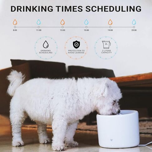 Instachew Purrflow Cat Water Fountain - Smart Pet Water Fountain for Cats Inside - Automatic Dog Water Fountain - Ultra Quiet Dog Water Dispenser with Replacement Filters - Suitable for Multiple Pets in Kuwait