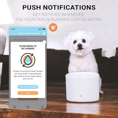 Instachew Purrflow Cat Water Fountain - Smart Pet Water Fountain for Cats Inside - Automatic Dog Water Fountain - Ultra Quiet Dog Water Dispenser with Replacement Filters - Suitable for Multiple Pets in Kuwait