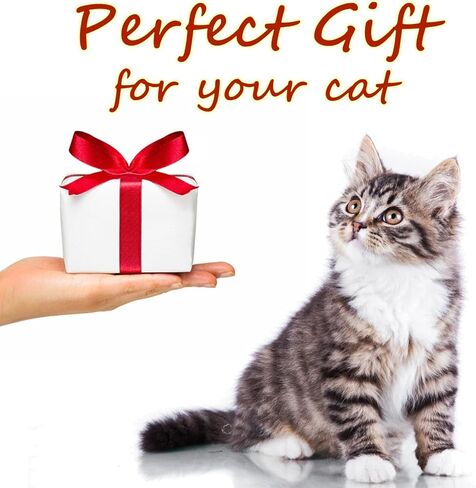Christmas Cat Wand Toy for Cats, Xmas Cat Gift Box, Interactive Kitten Toys for Indoor Cats, Cat Feather Toys with Bell for Christmas (Christmas Tree) in Kuwait