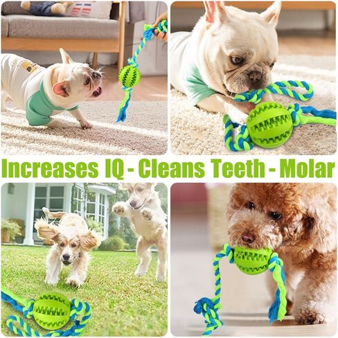 ألعاب الكلاب التفاعلية من تشليبيم، كرات للكلاب الصغيرة والمتوسطة، مضغ التسنين وتنظيف الأسنان، توزيع كرات مطاطية متينة، لعبة حبل للكلاب للعب شد الحبل (أخضر) in Kuwait