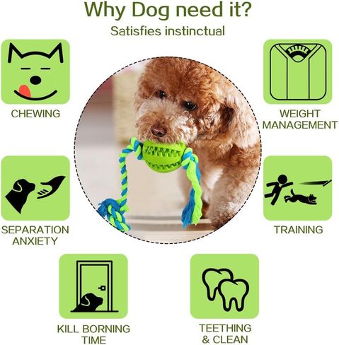ألعاب الكلاب التفاعلية من تشليبيم، كرات للكلاب الصغيرة والمتوسطة، مضغ التسنين وتنظيف الأسنان، توزيع كرات مطاطية متينة، لعبة حبل للكلاب للعب شد الحبل (أخضر) in Kuwait