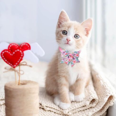 مجموعة من 100 قطعة من طوق ربطة عنق الكلب المنقوشة تتضمن ربطات عنق للكلاب، وربطة عنق للكلاب، وأقواس عيد الحب قابلة للتعديل للكلاب الصغيرة والمتوسطة (منقوشة) in Kuwait