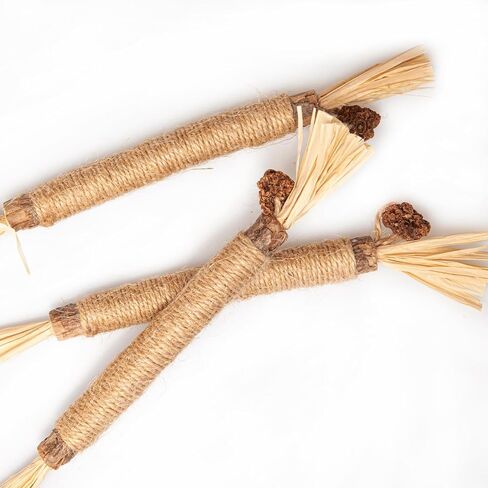 جي دي جي دي اس واي عصي مضغ النعناع البري، عصي فضية طبيعية للقطط لتنظيف اسنان القطط in Kuwait