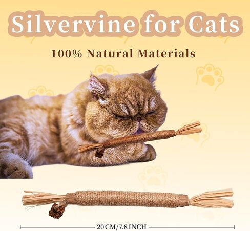 جي دي جي دي اس واي عصي مضغ النعناع البري، عصي فضية طبيعية للقطط لتنظيف اسنان القطط in Kuwait