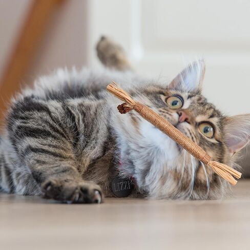 جي دي جي دي اس واي عصي مضغ النعناع البري، عصي فضية طبيعية للقطط لتنظيف اسنان القطط in Kuwait