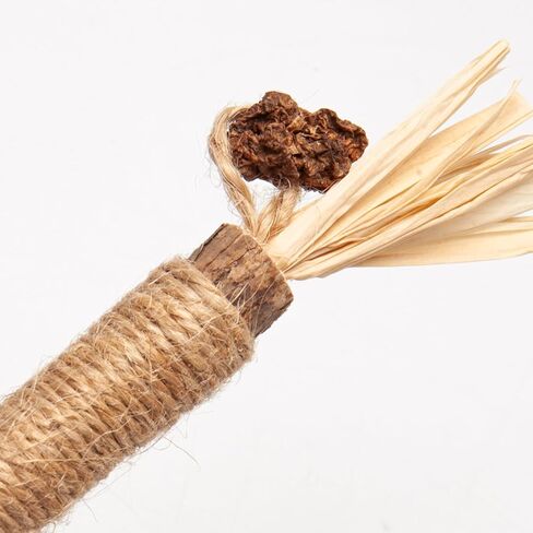 جي دي جي دي اس واي عصي مضغ النعناع البري، عصي فضية طبيعية للقطط لتنظيف اسنان القطط in Kuwait