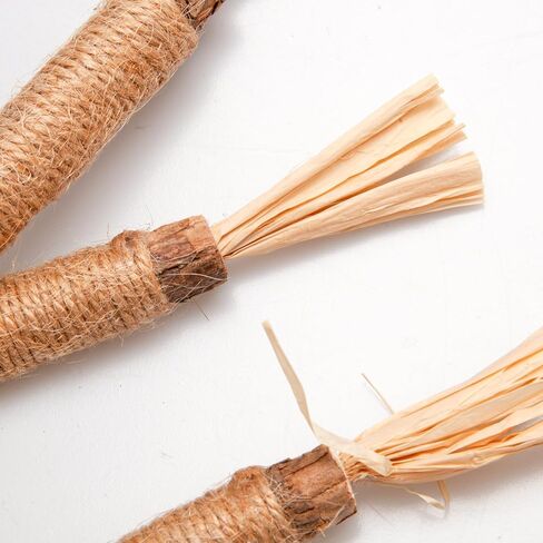 جي دي جي دي اس واي عصي مضغ النعناع البري، عصي فضية طبيعية للقطط لتنظيف اسنان القطط in Kuwait