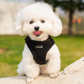 Mr. Peanut's PupTrek Small Dog/Cat Soft Mesh Step in Harness Vest (Extra Small, Red) in Kuwait
