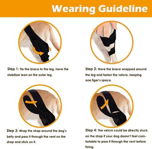 دعامة ركبة الكلب من بيتمنجهام لعلاج الرباط الصليبي الأمامي، وخلع غطاء الركبة، والتهاب المفاصل - آلام المفاصل، والتهاب العضلات - تعافي أفضل - يقلل الألم والالتهاب - دعامات الساق الخلفية للكلاب قابلة للتعديل (الحجم: S) in Kuwait