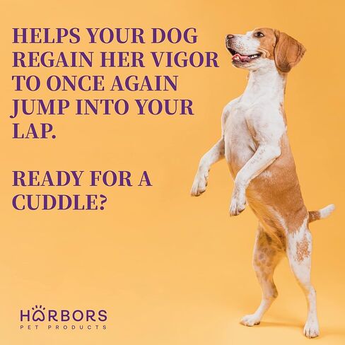 Harbor's Small Dog Joint Health 59ml - Supplement Liquid for Fast Pain Relief, Smooth Younger Hips. Natural Nutrients Glucosamine, MSM, Chondroitin, Hyaluronic Acid, Yummy Organic Beef Flavor in Kuwait