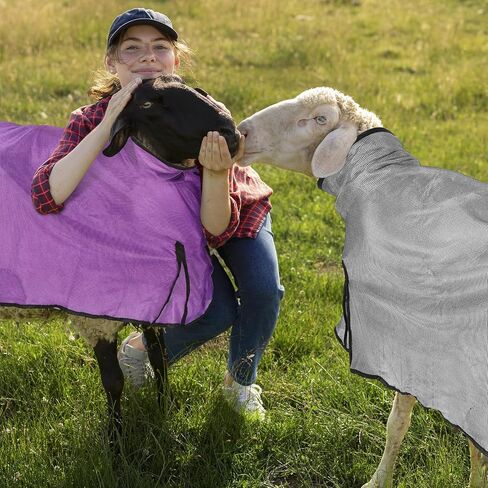 Sweetude 2 Pieces Sheep Blanket with Mesh Butt and Adjustable Belly Strap, Lightweight Summer Mesh Covers Breathable Sheep Cover Sheep Care Blankets for Show Sheep Lamb (Purple, Gray,130-160lbs) in Saudi Arabia
