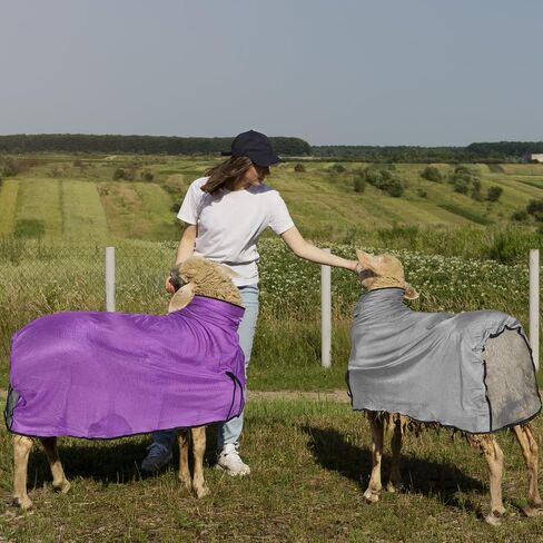 Sweetude 2 Pieces Sheep Blanket with Mesh Butt and Adjustable Belly Strap, Lightweight Summer Mesh Covers Breathable Sheep Cover Sheep Care Blankets for Show Sheep Lamb (Purple, Gray,130-160lbs) in Saudi Arabia